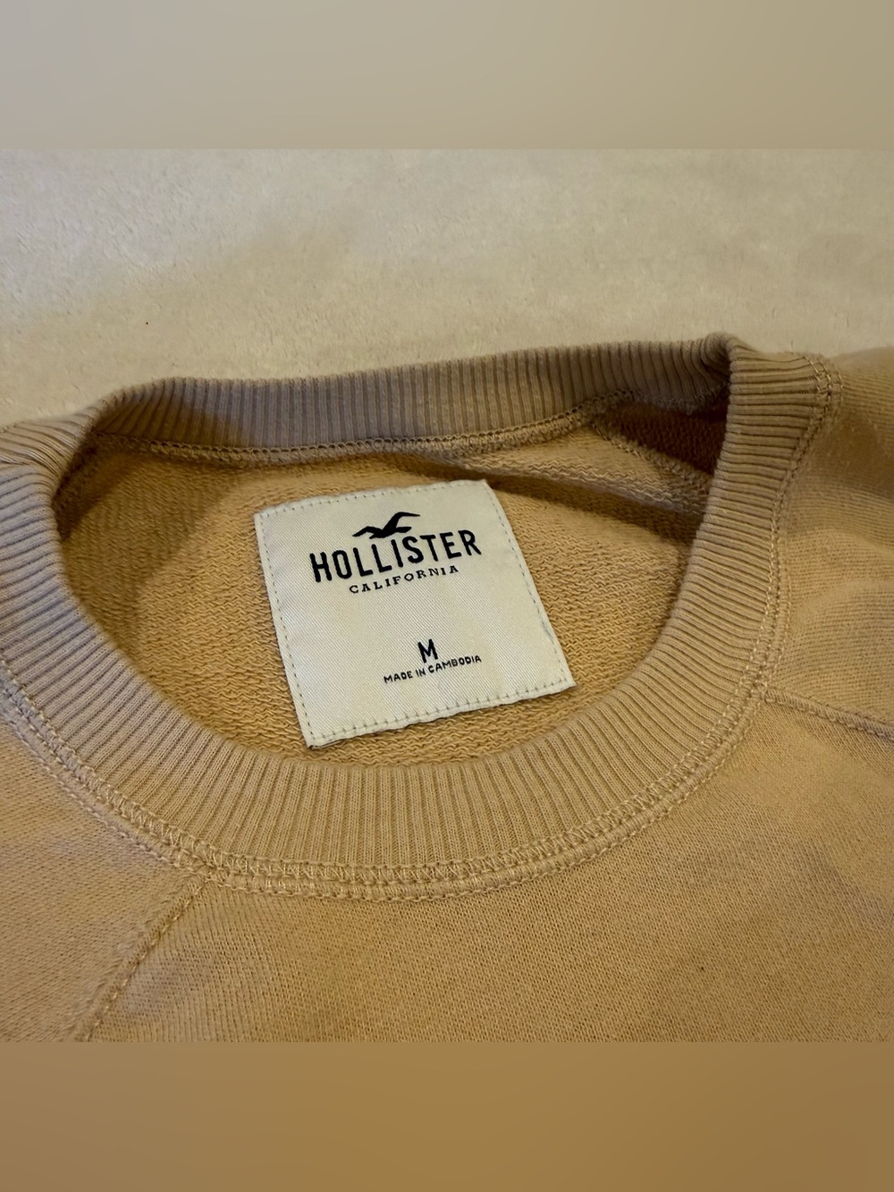 Neutral fall basic. Cropped Drawstring Sweatshirt in Camel - Picture 2 of 5